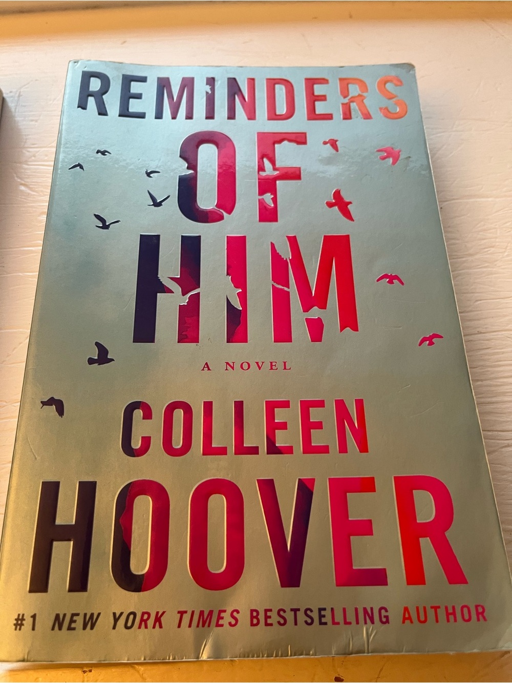 Reminders of Him Novel - Red Accent Hardcover
